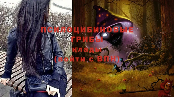 дживик Верхний Тагил